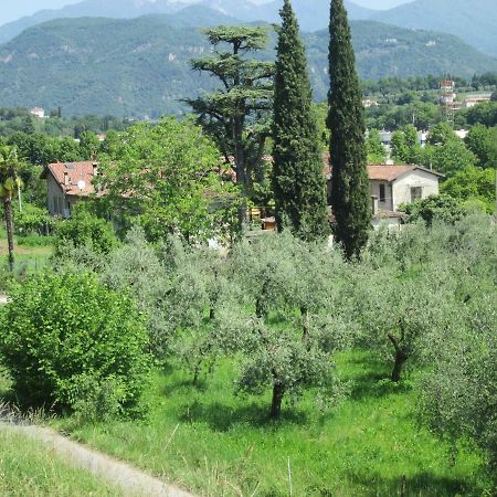 סאלו Agriturismo Bonu Gabriele מראה חיצוני תמונה